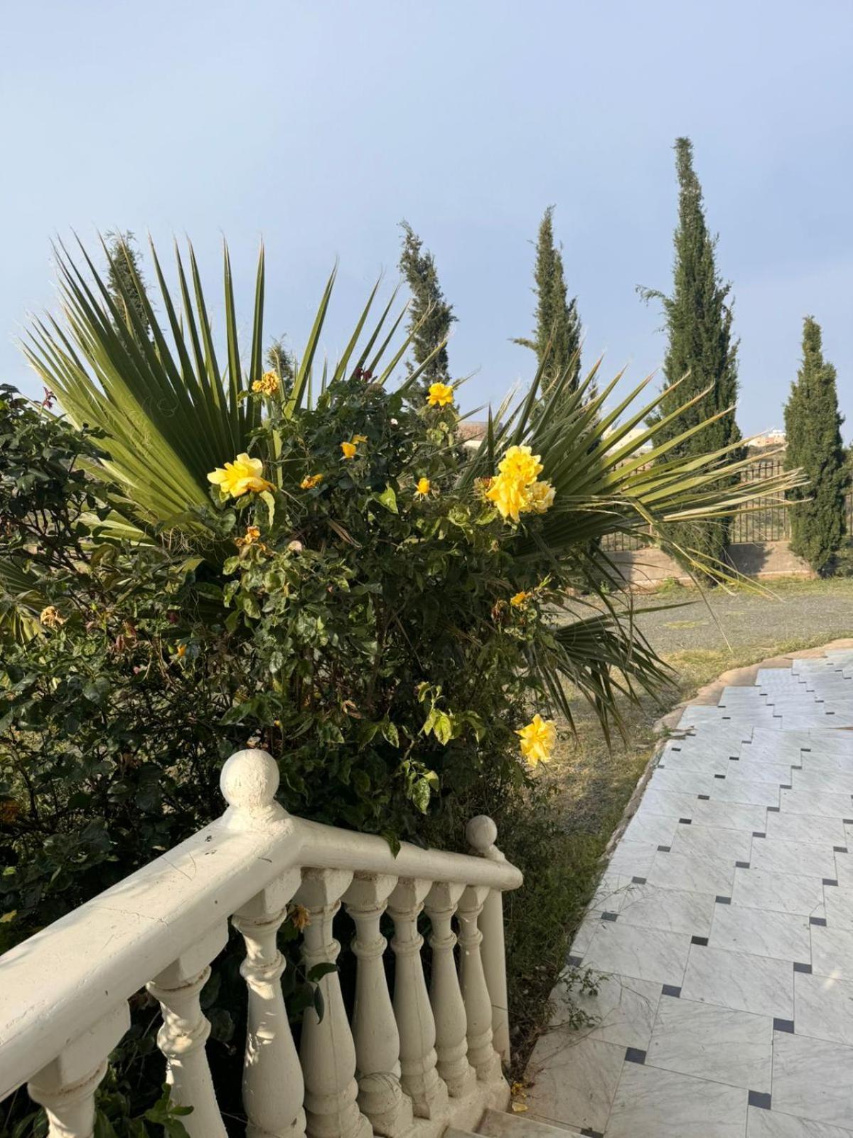 كازان Apartment *